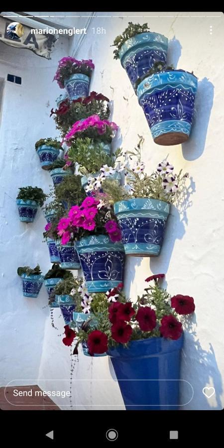 Mijas Pueblo Paradise Villa マラガ エクステリア 写真